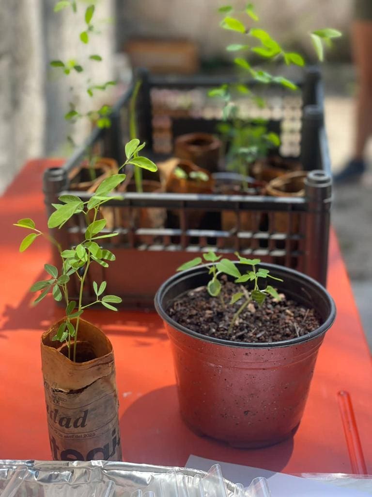 Gobierno municipal invita a producir sus propios alimentos, con huertos orgánicos