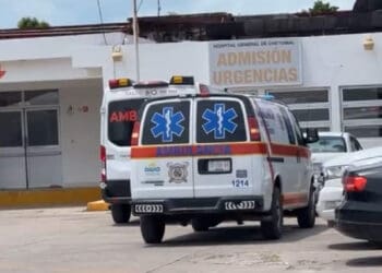 Trasladan a cinco trabajadores del Tren Maya a un hospital de Chetumal, tras ser atacados por abejas