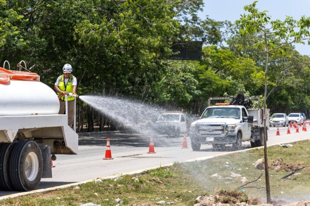 Gobierno municipal reforesta camellón de la carretera federal