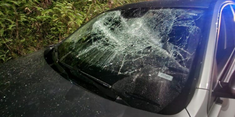 Respaldan restauranteros de Cancún castigo ejemplar a taxistas agresores 