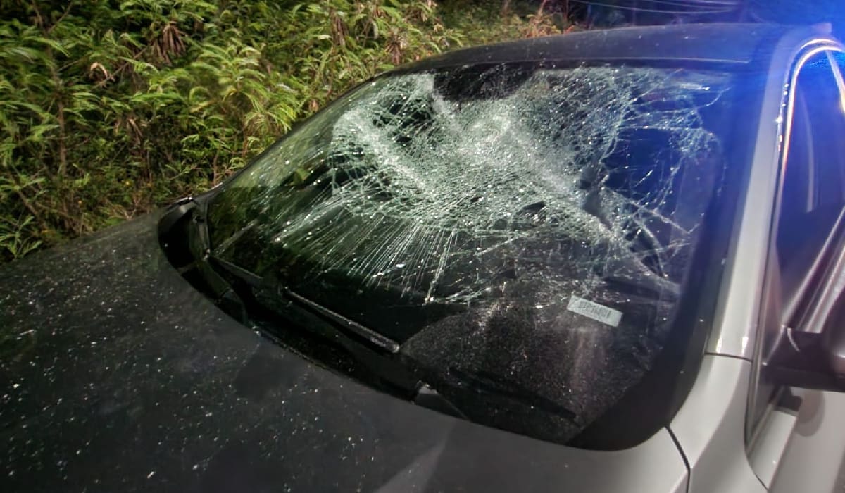 Respaldan restauranteros de Cancún castigo ejemplar a taxistas agresores 