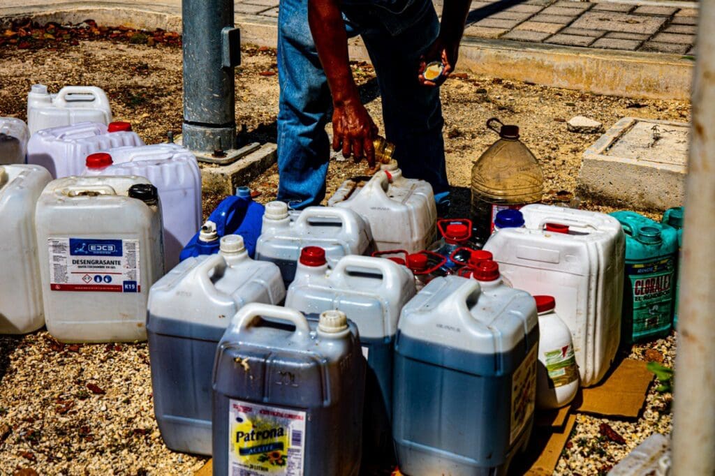 Solidaridad impulsa acciones para preservar el medio ambiente
