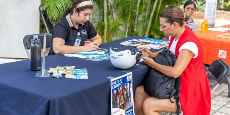Solidaridad importante generador de vacantes de empleo
