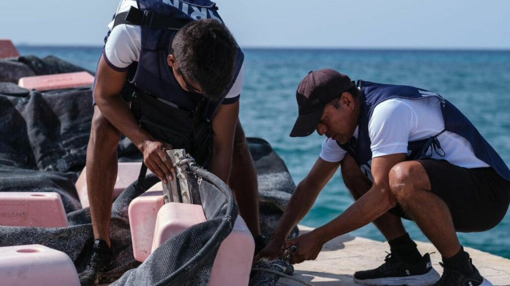 ¡Al fin! Adiós al sargazo; termina la temporada 2023 en el Caribe Mexicano