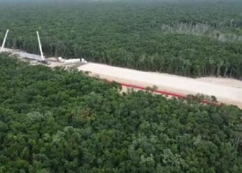 Federación expropia 17 terrenos más en Quintana Roo para el Tren Maya