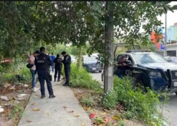 Hallan cuerpo putrefacto en área verde del fraccionamiento Los Héroes de Cancún