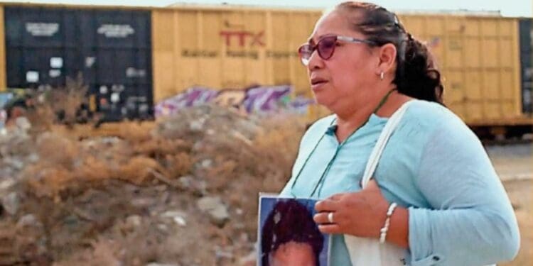Organizan función de cine en Cancún a favor de familiares de desaparecidos