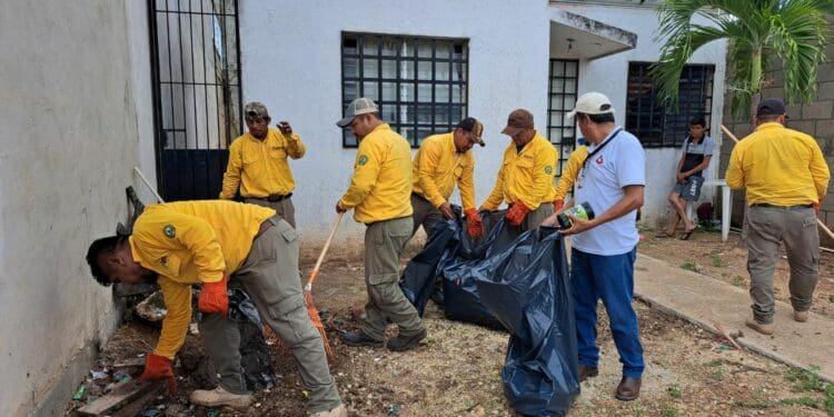 Brigadistas forestales se suman al apoyo ante las inundaciones en Chetumal