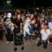 Gobierno de Playa del Carmen celebra con éxito la primera edición del "Dog Beach Festival".