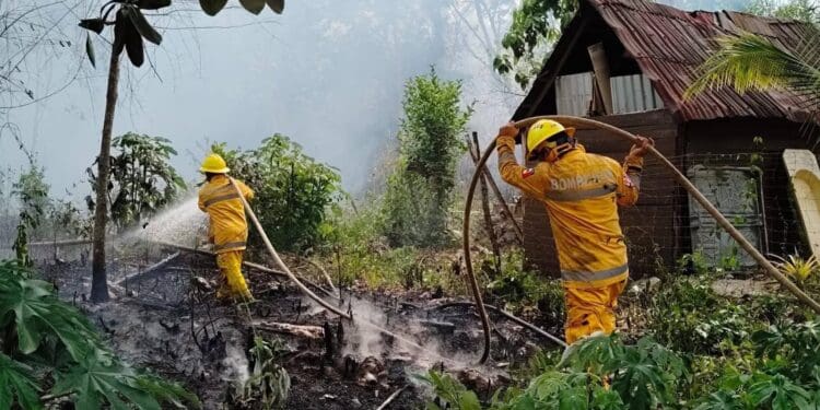 Playa del Carmen cierra la temporada de incendios forestales 2025 con 914 incidentes atendidos