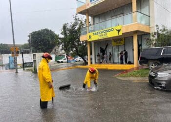 Gobierno de Estefanía Mercado activa “Operativo Tormenta” y ejecuta acciones preventivas y de recuperación tras lluvias en Playa del Carmen