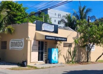 Estefanía Mercado suma a empresarios a la construcción de la identidad de Playa del Carmen con el color Arena Playa