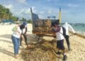 Gobierno de Estefanía Mercado atiende recale atípico de sargazo en playas provocado por surada