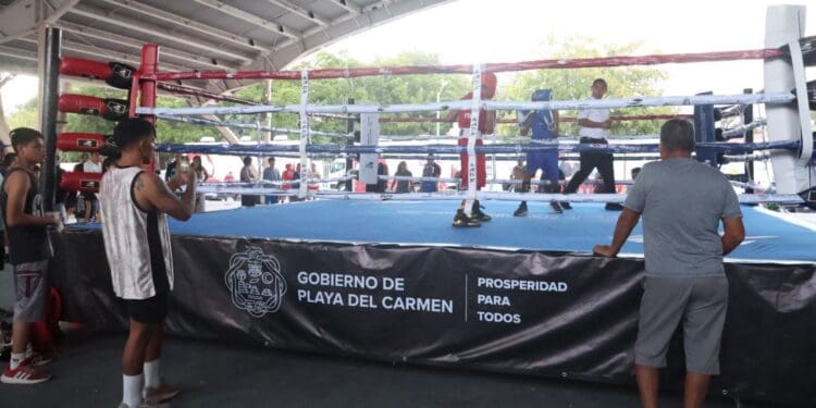 Video: Ninel Conde sufre descarga eléctrica en pleno Carnaval de Mérida, Yucatán
