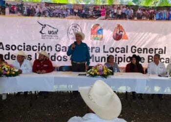 Gobierno de Estefanía Mercado reitera respaldo al sector ganadero y al desarrollo rural