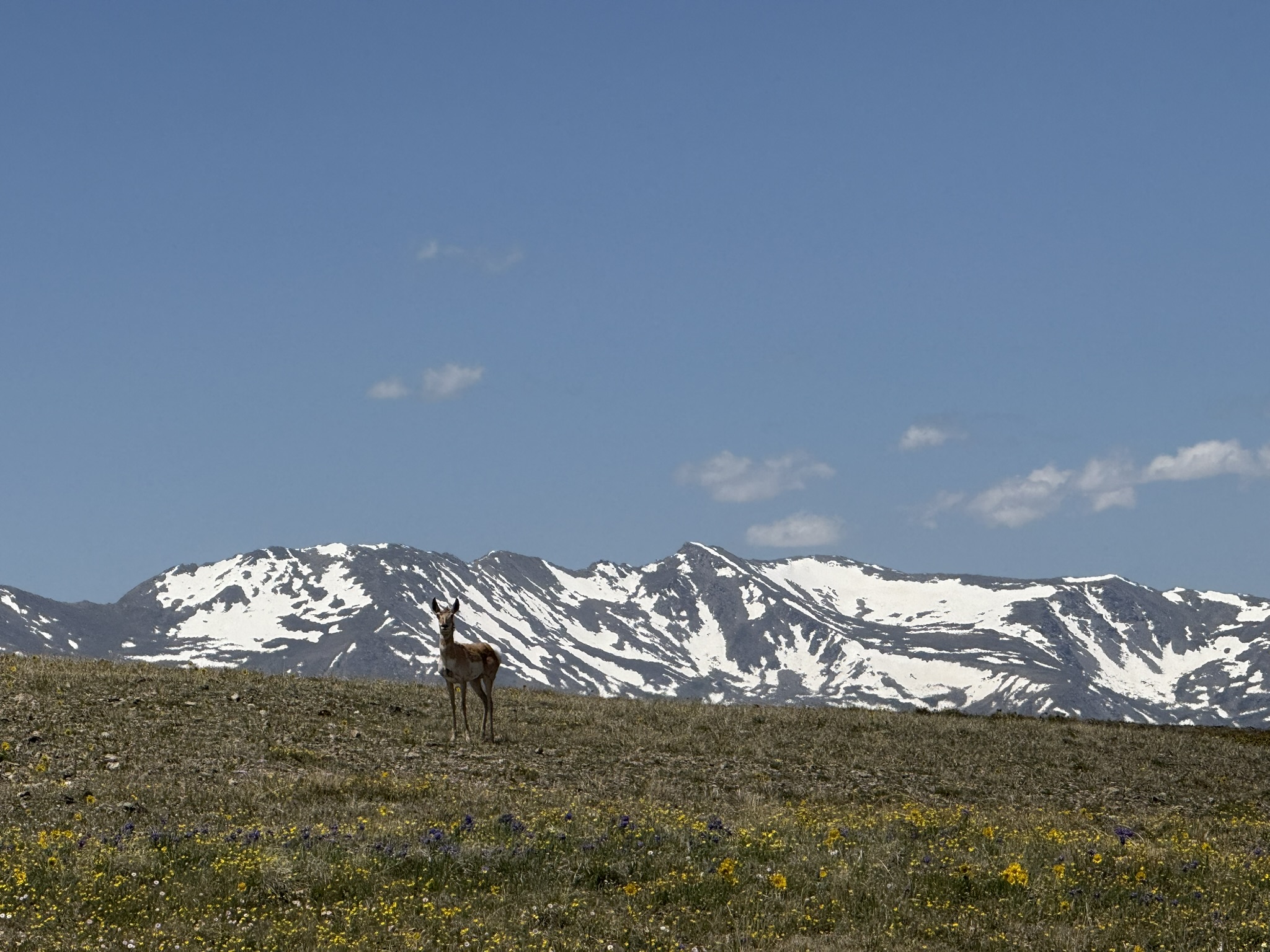 The mountain landscape around Leadville, Colorado, where Cloud City Technology is based