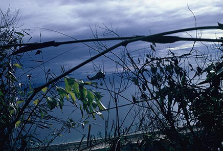 UH-34 Supply Run