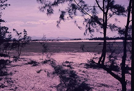 Sandy Terrain