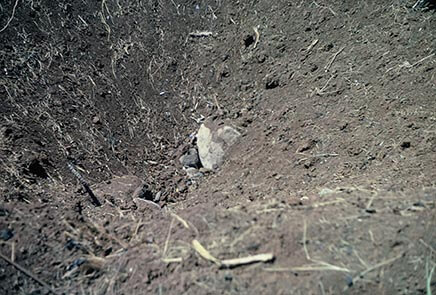 Bomb Crater?