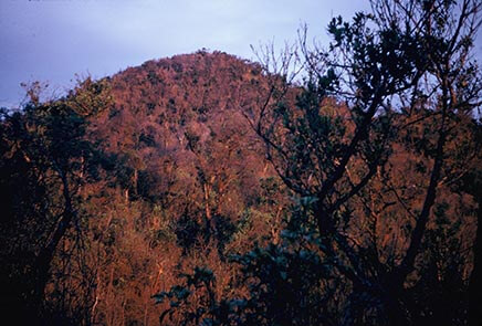 Just Another Hill