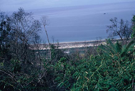 South China Sea