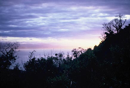 Terrain 1