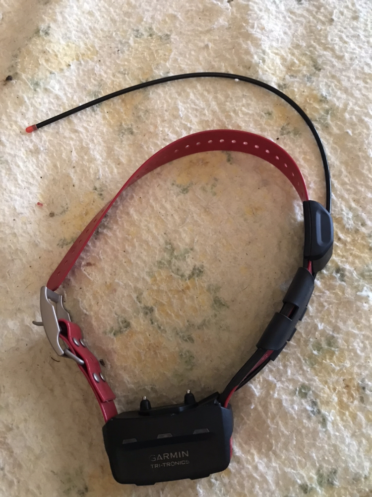 tt15 Track and Train Collar
