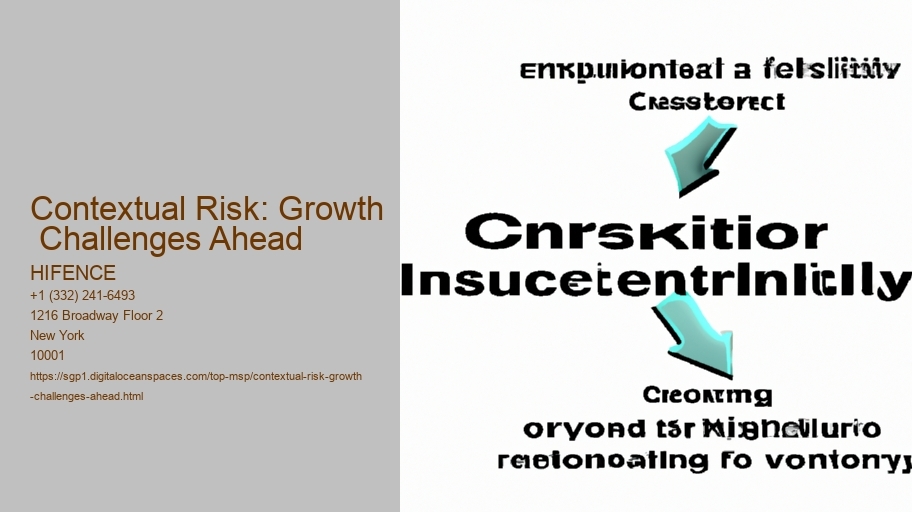 Contextual Risk: Growth  Challenges Ahead