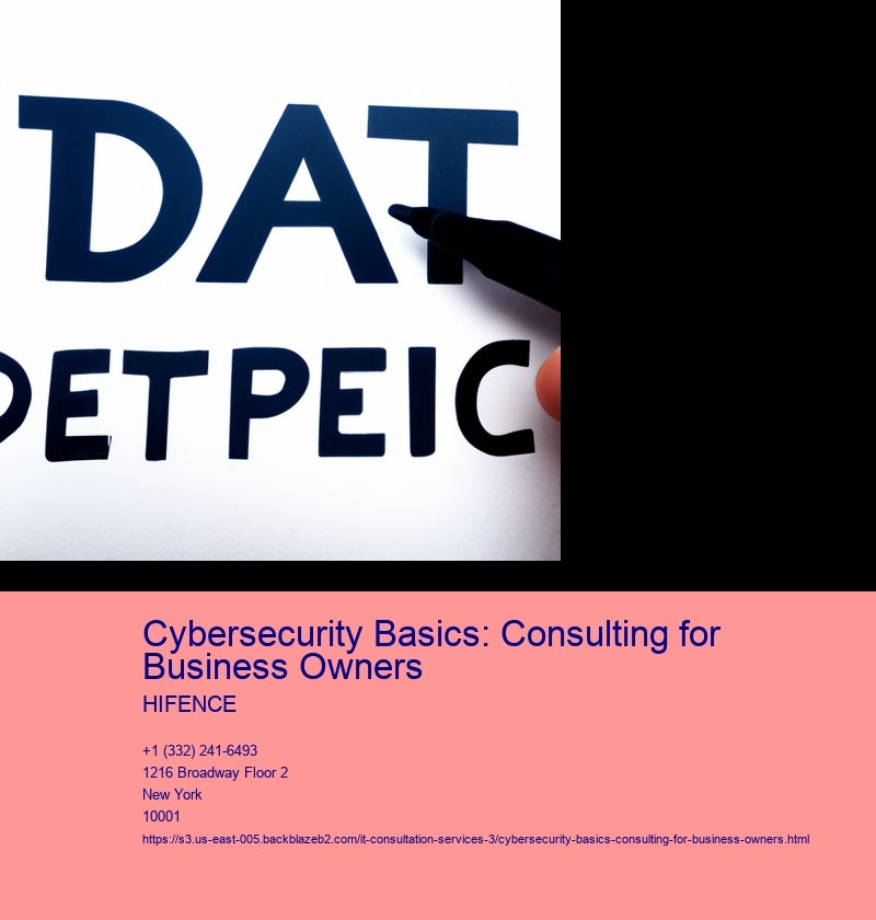 Cybersecurity Basics: Consulting for Business Owners