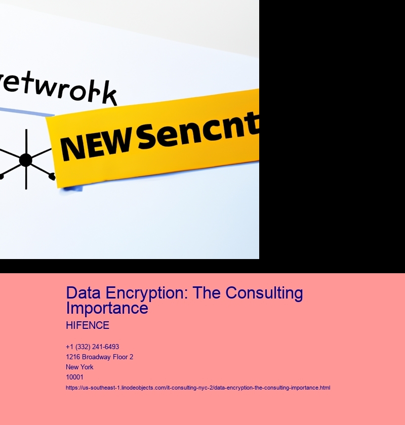 Data Encryption: The Consulting Importance