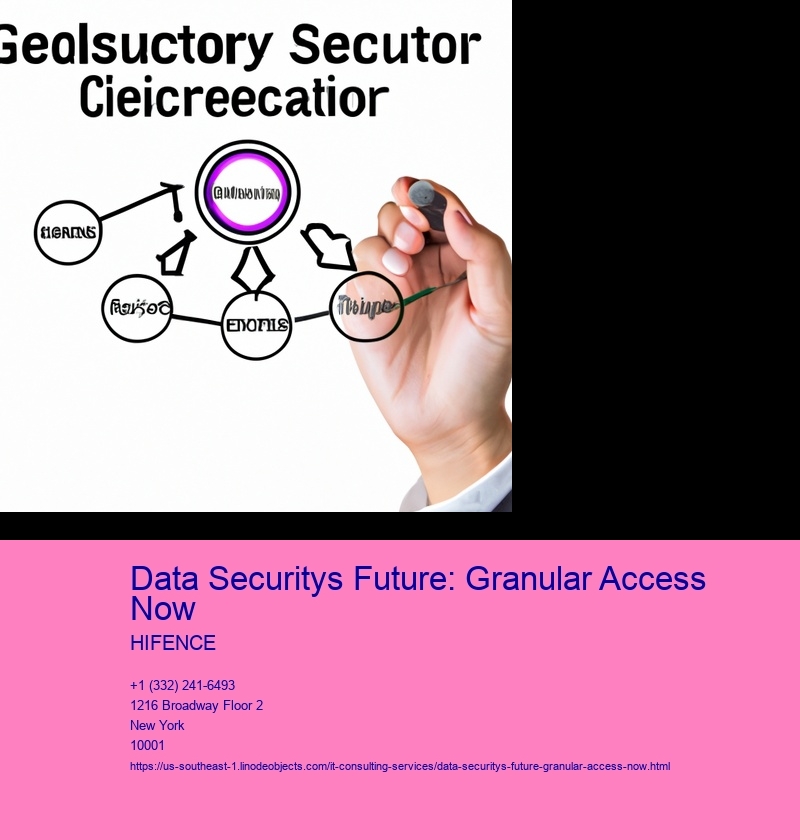 Data Securitys Future: Granular Access Now