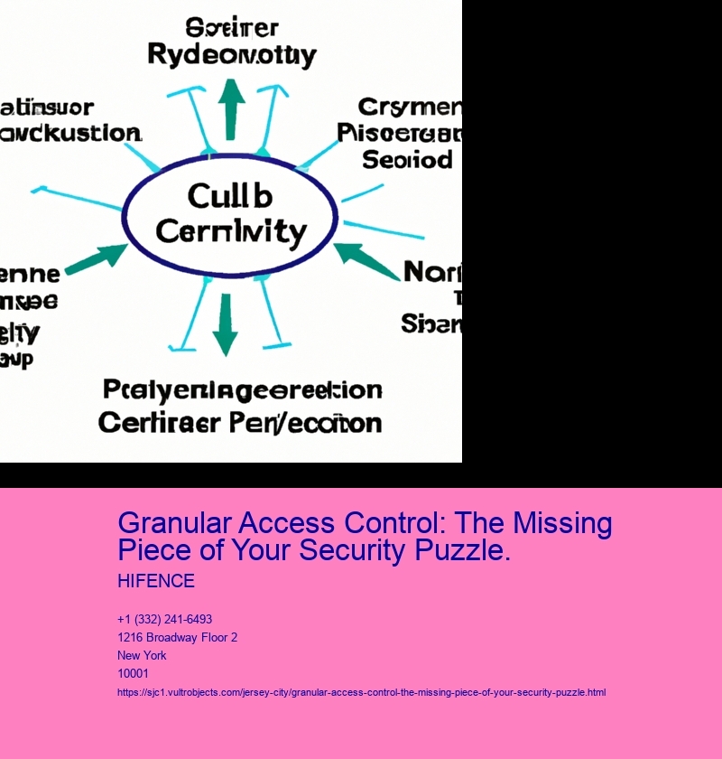 Granular Access Control: The Missing Piece of Your Security Puzzle.