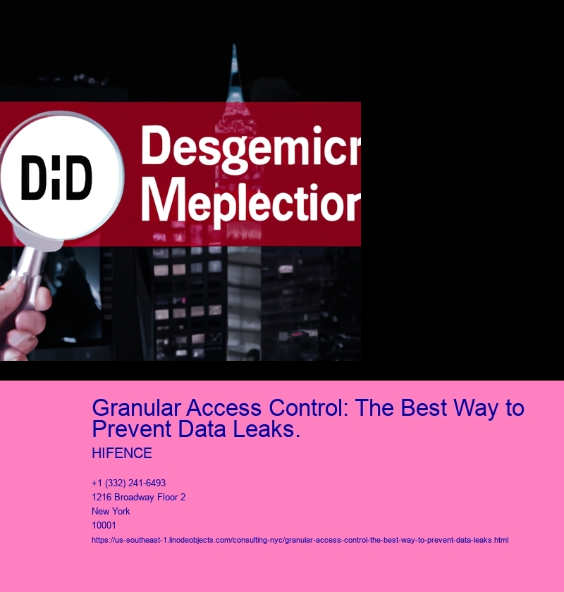 Granular Access Control: The Best Way to Prevent Data Leaks.