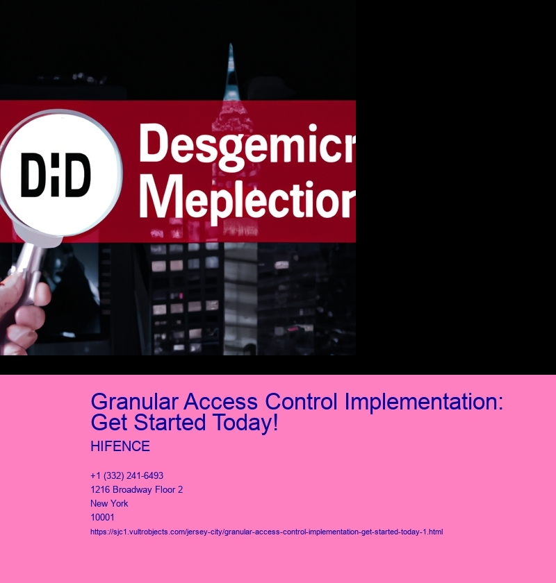 Granular Access Control Implementation: Get Started Today!