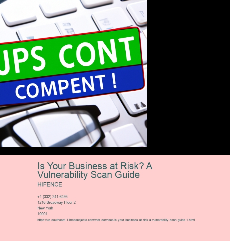 Is Your Business at Risk? A Vulnerability Scan Guide