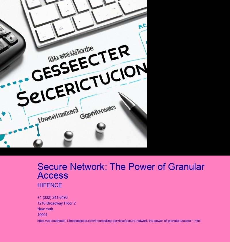 Secure Network: The Power of Granular Access
