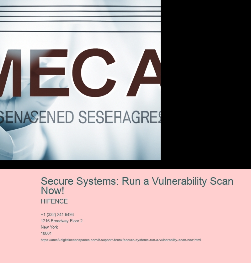 Secure Systems: Run a Vulnerability Scan Now!