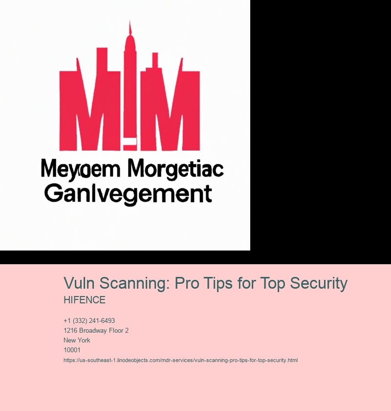 Vuln Scanning: Pro Tips for Top Security