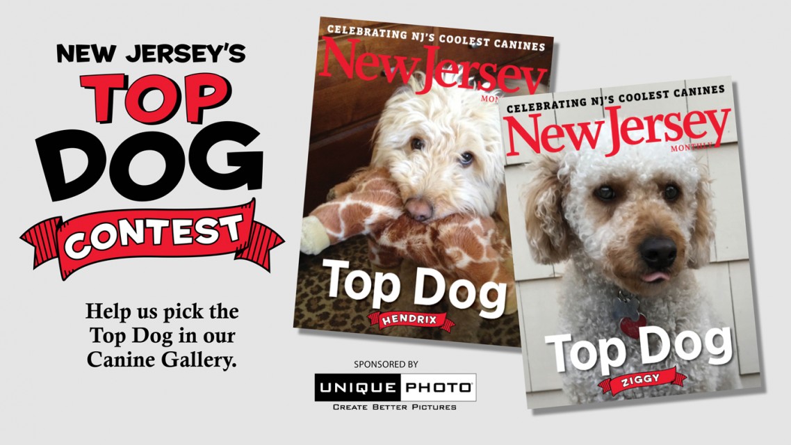 2017 Top Dog Contest New Jersey Monthly Contests