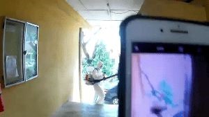 Disinfection Disinfection Calabasas Ca