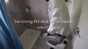 Disinfection Service Trabuco Canyon Ca