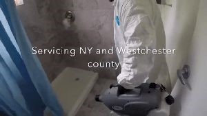 Covid Cleaning Services Calabasas Ca