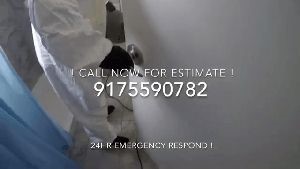 Disinfection Disinfection Newport Coast Ca