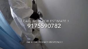 Electrostatic Spraying Services Garden Grove Ca