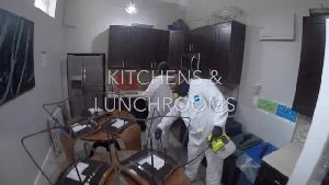 Disinfecting Service Industry Ca