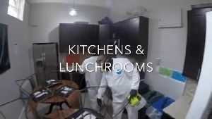 Disinfecting Service Calimesa Ca