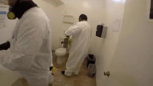 Disinfection Disinfection Trabuco Canyon Ca