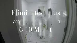 Disinfection and Sanitation Services Avalon Ca