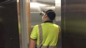 Disinfection and Sanitizing Services