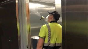 Disinfection and Sanitation Services Burbank Ca